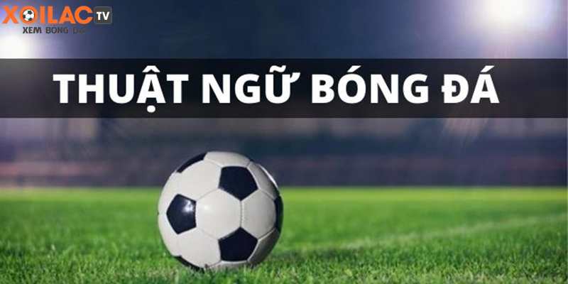 Thuật ngữ bóng đá Tiếng Việt là gì?